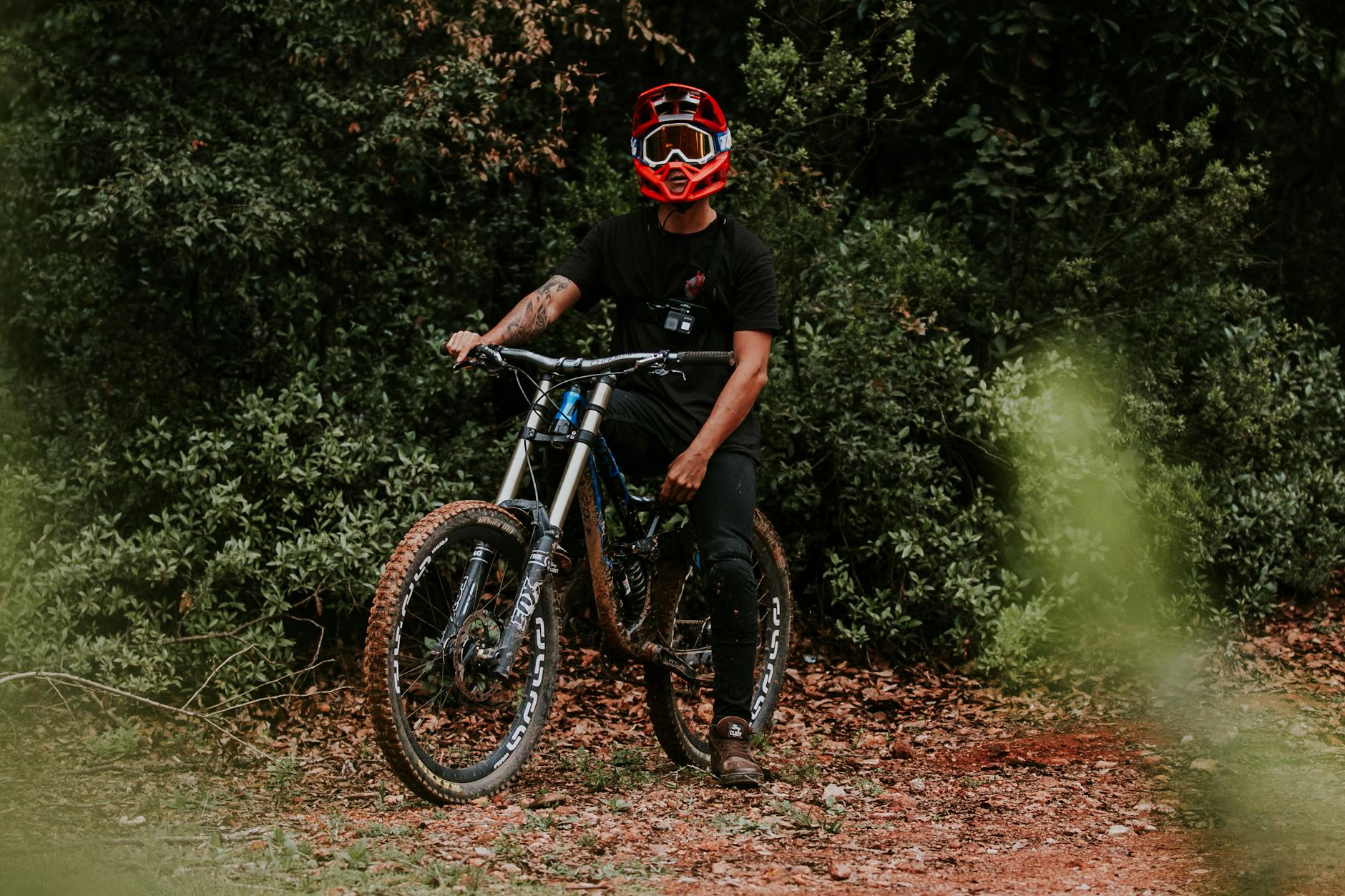 Mountain biking through forested trails near Jerusalem