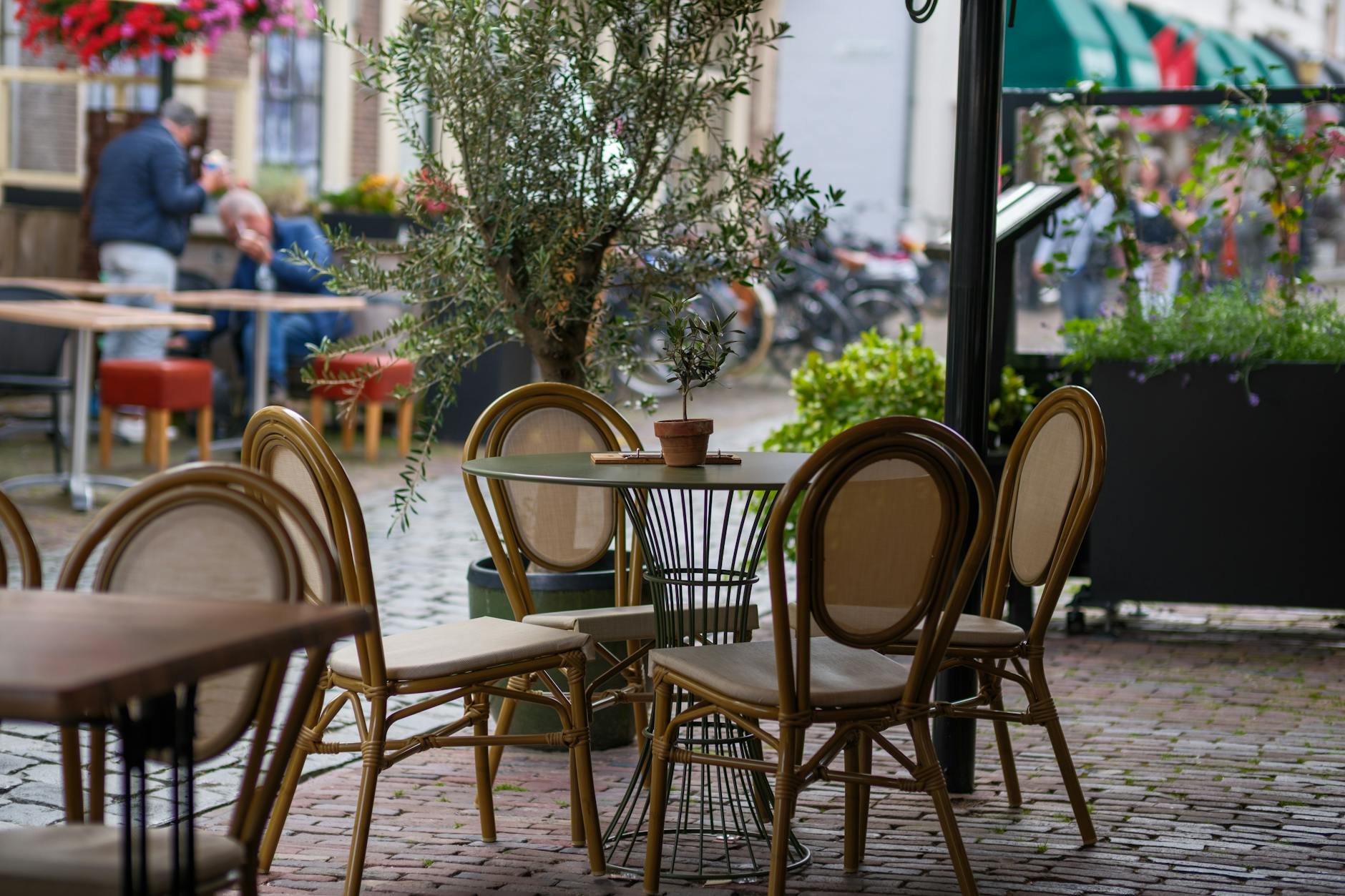 German Colony neighborhood Jerusalem with leafy streets and boutique cafes
