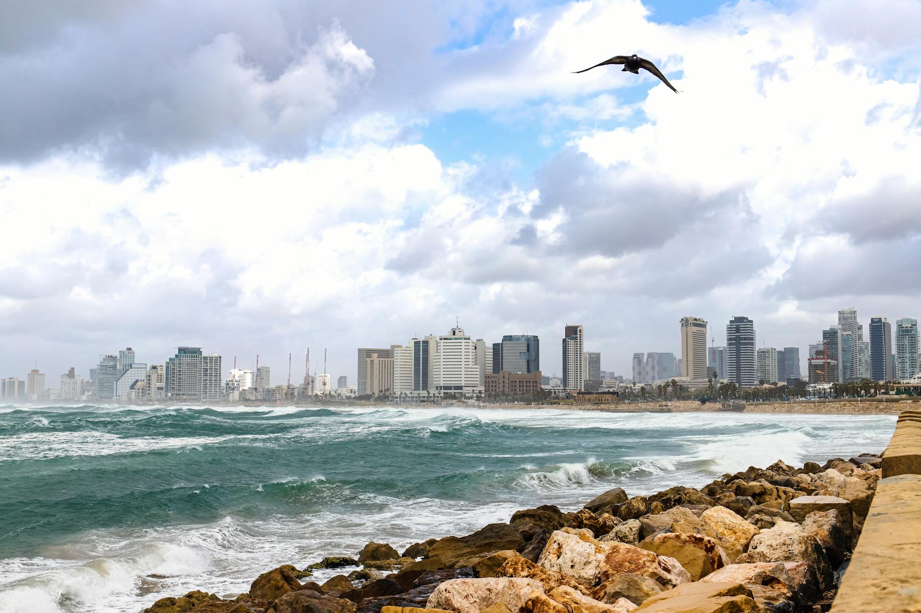 Tel Aviv beach and skyline - easy day trip from Jerusalem