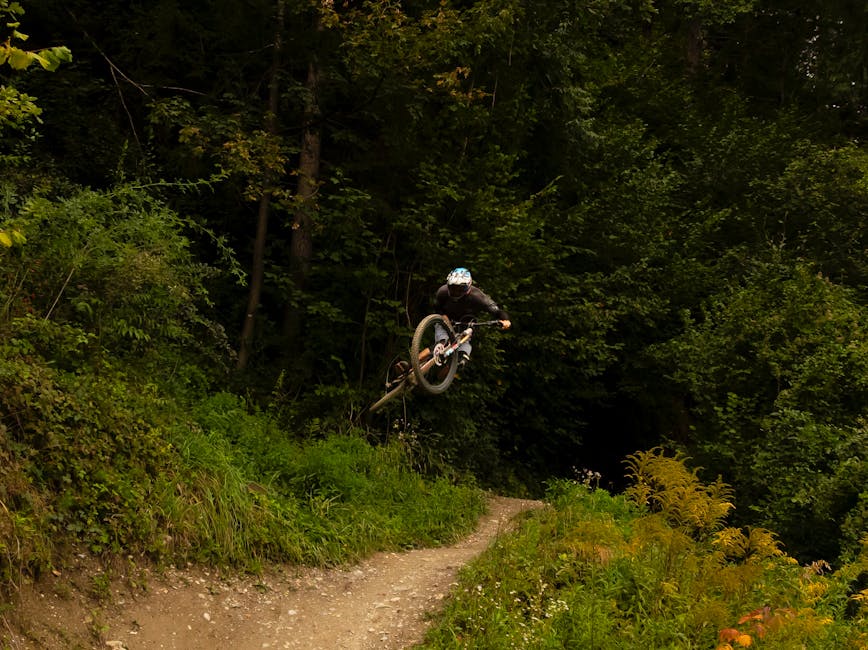 Mountain bikers trail Jerusalem Hills forest
