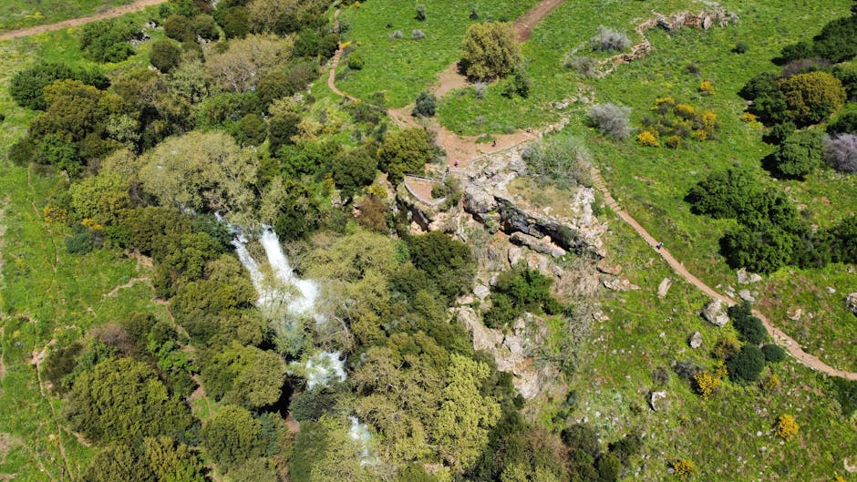 Hiking near Jerusalem trail forest landscape