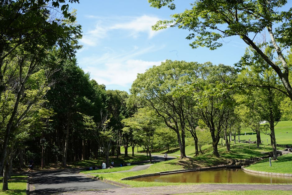 Jerusalem park green space trees walking path