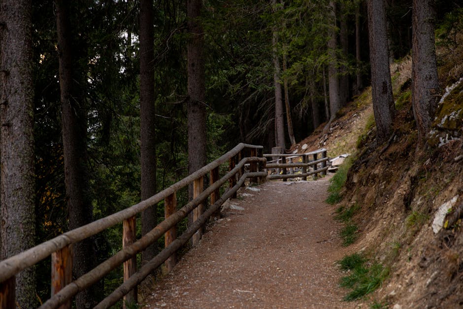 Jerusalem Trail hiking path forest views