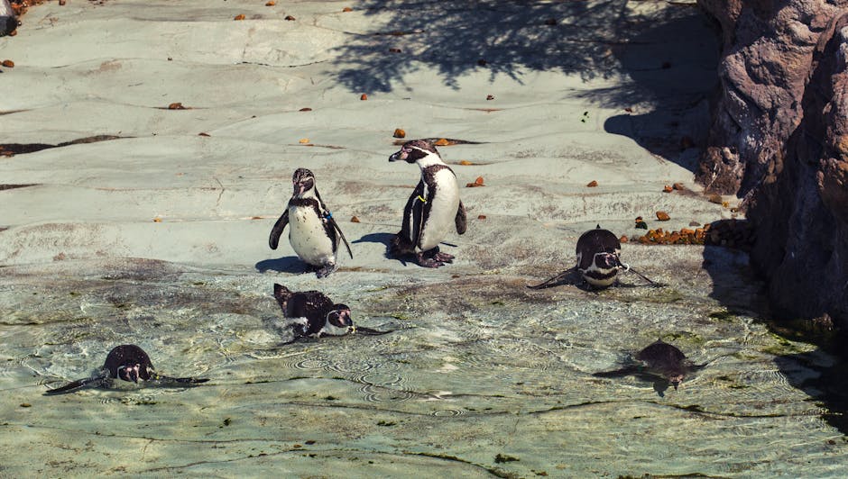 Family with children at zoo penguin exhibit