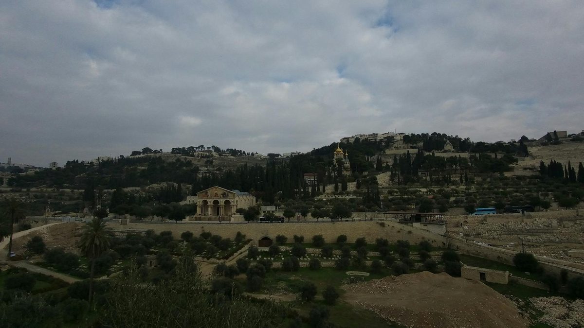 Panoramic view of Jerusalem's Old City from the Mount of Olives at sunrise