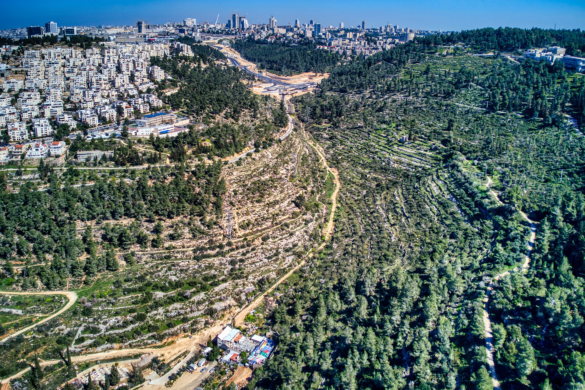 Aerial view of the Jerusalem Forest's pine woods and terraced slopes crossed by dirt tracks, beside apartment blocks, with the Jerusalem skyline behind