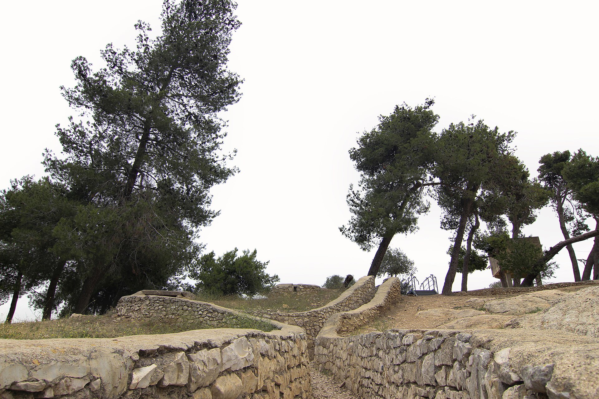 A stone-lined trench winding up a slope between pine trees at the Ammunition Hill memorial site in Jerusalem, with a bunker on the skyline