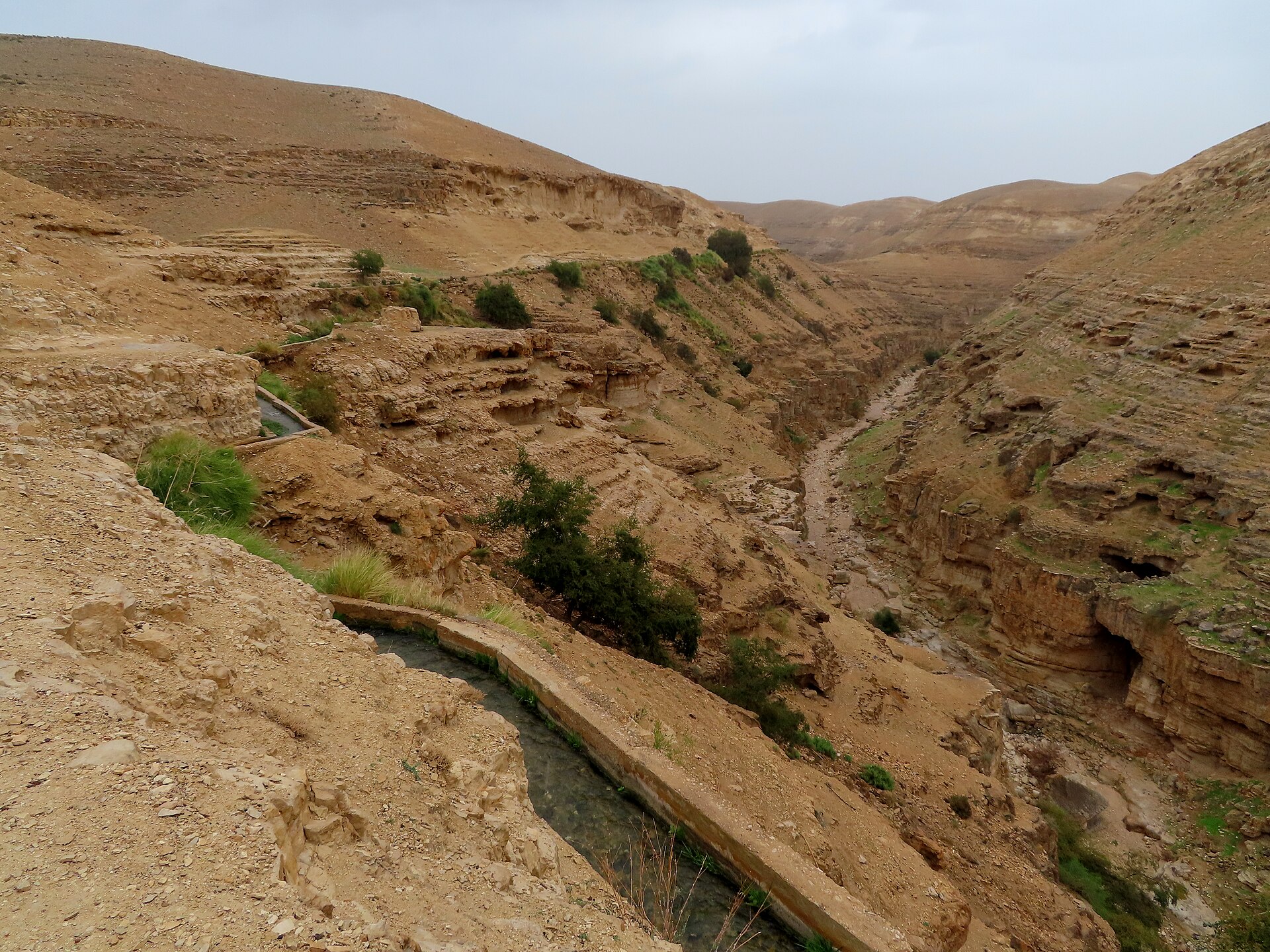 Aqueduct channel carrying running water along the side of Wadi Qelt canyon, with desert scrub, eroded limestone cliffs with caves and the streambed below