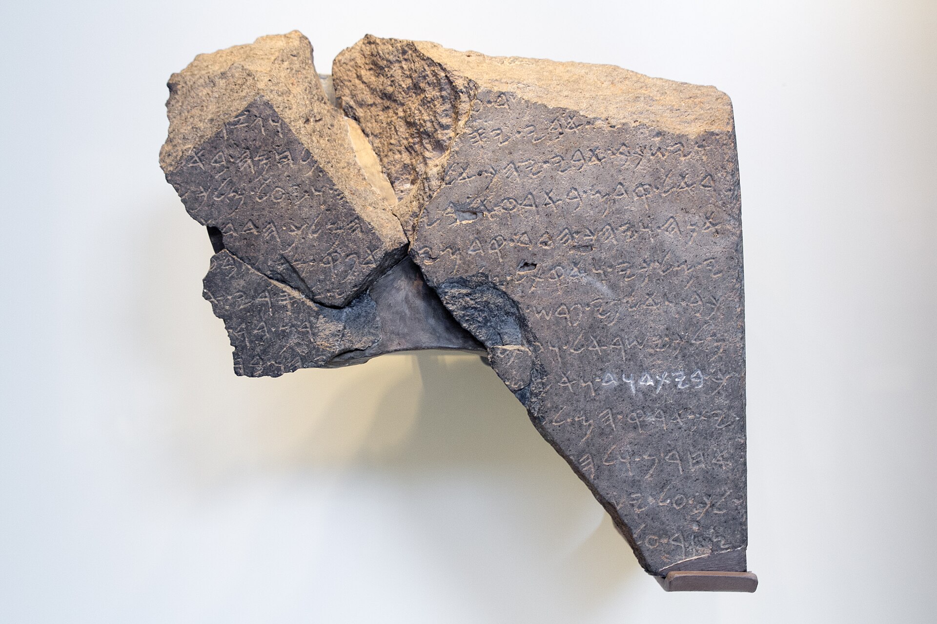 Broken basalt fragments of the Tel Dan stele mounted on a museum wall, covered in lines of ancient Aramaic letters, one phrase picked out in white