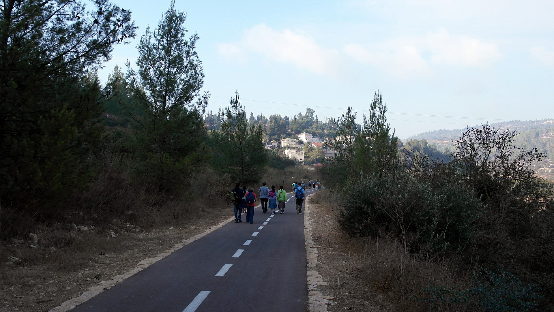 Group of walkers with backpacks on a paved path lined with pine trees in the Jerusalem Forest, heading towards houses on a wooded hill