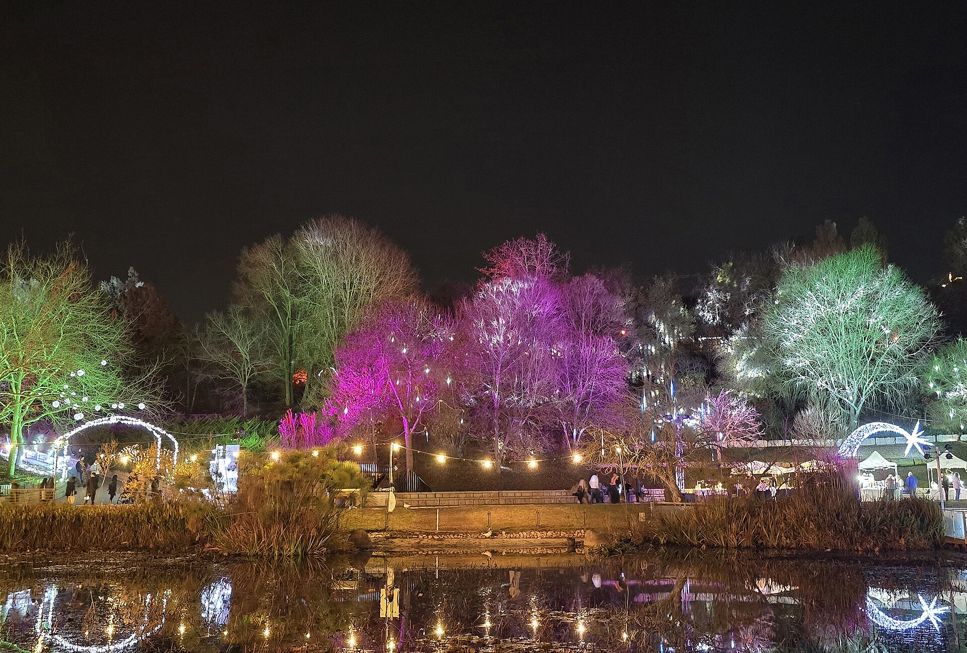 Trees lit in purple, green and white around a pond at the Jerusalem Botanical Garden during an evening lights event, with visitors and market stalls