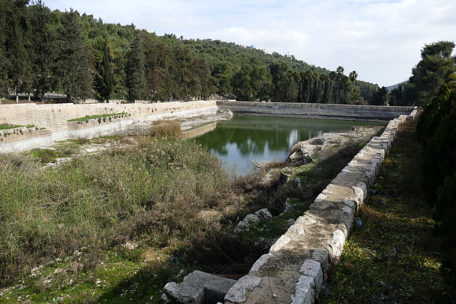 Long stone-walled reservoir at Solomon's Pools, partly filled with green water and edged with reeds, below a slope of pines and palms