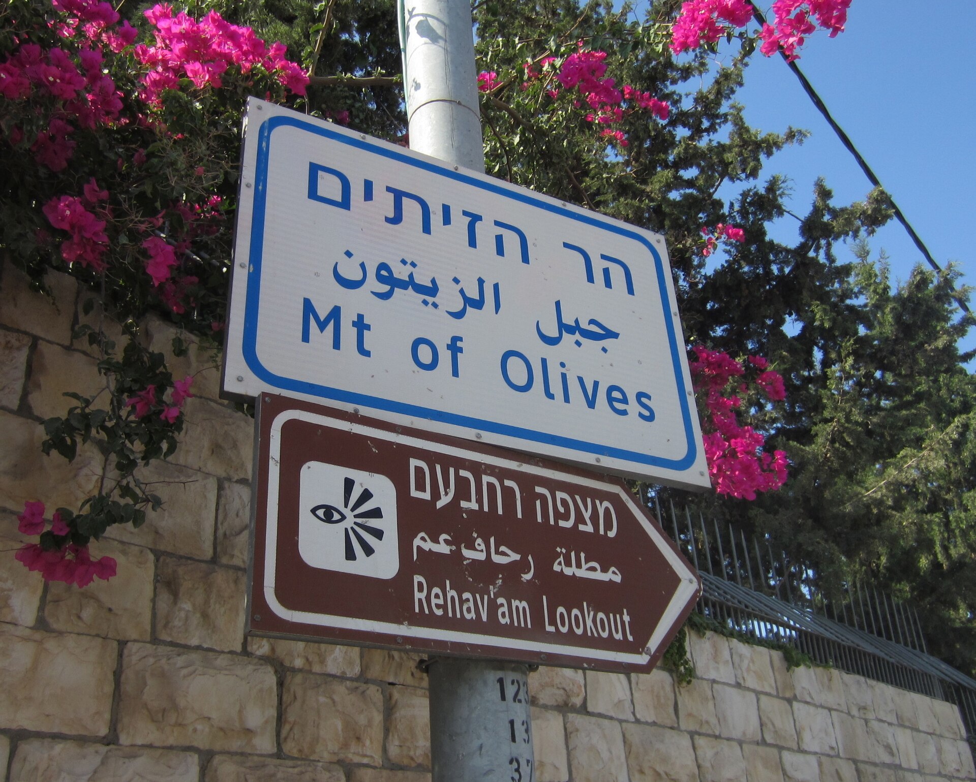 Trilingual Hebrew, Arabic and English street sign reading Mt of Olives, with a brown sign pointing to the Rehav'am Lookout, beneath pink bougainvillea