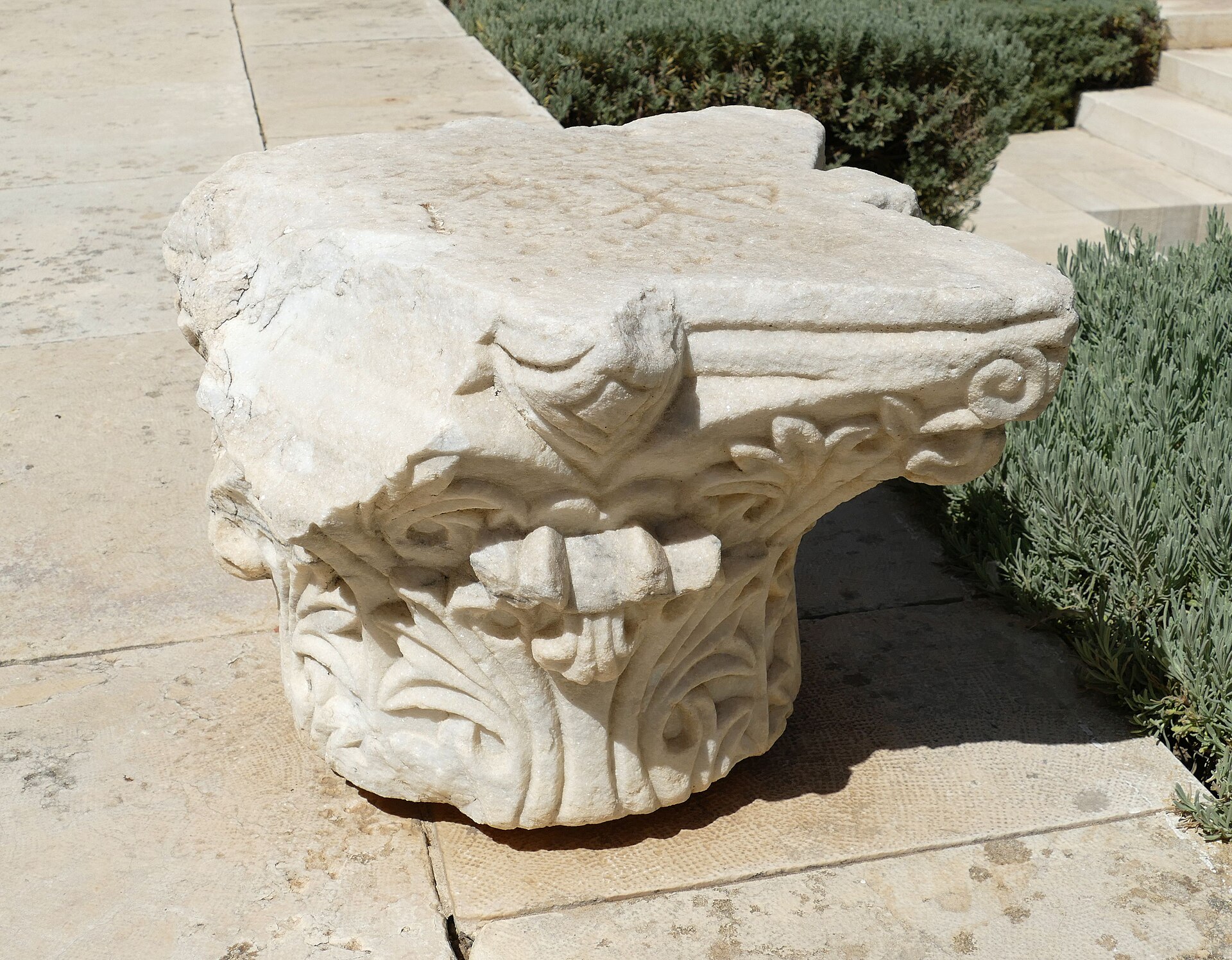A weathered ancient marble column capital carved with acanthus leaves and a small volute, resting on stone paving beside lavender bushes at the Rockefeller Museum