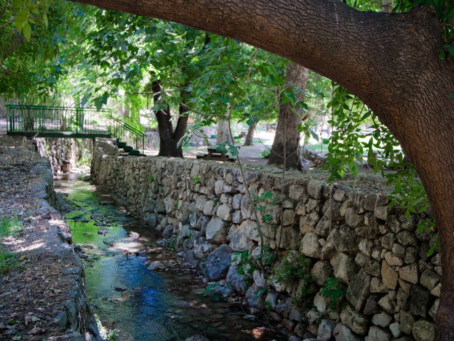 Shallow spring-fed stream in a stone-lined channel at Ein Hemed National Park, shaded by large trees, with a green footbridge and picnic tables behind