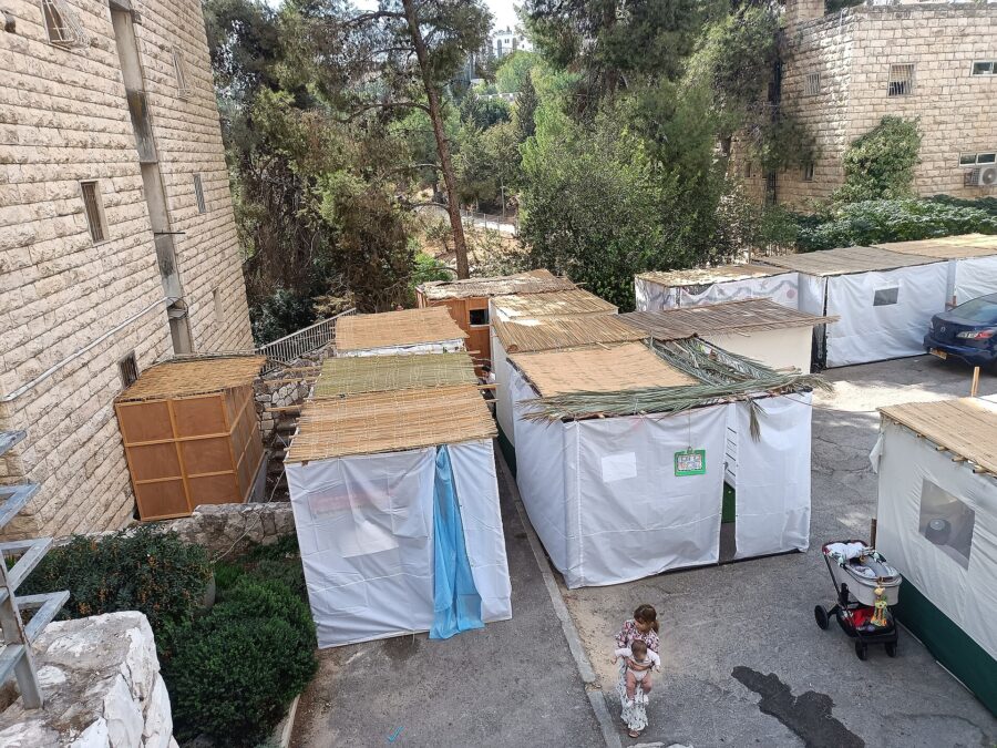Rows of sukkah booths with palm-frond roofs filling a residential courtyard in Jerusalem during Sukkot