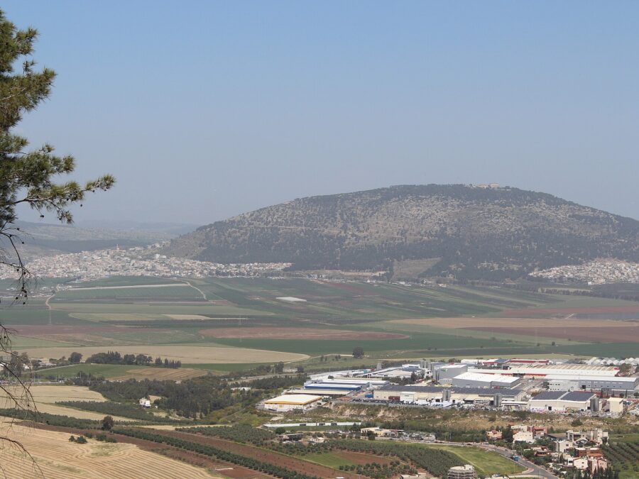 The rounded, wooded hill of Mount Tabor rising above the flat farmland and towns of the Jezreel Valley, seen from a hillside with a tree in the foreground