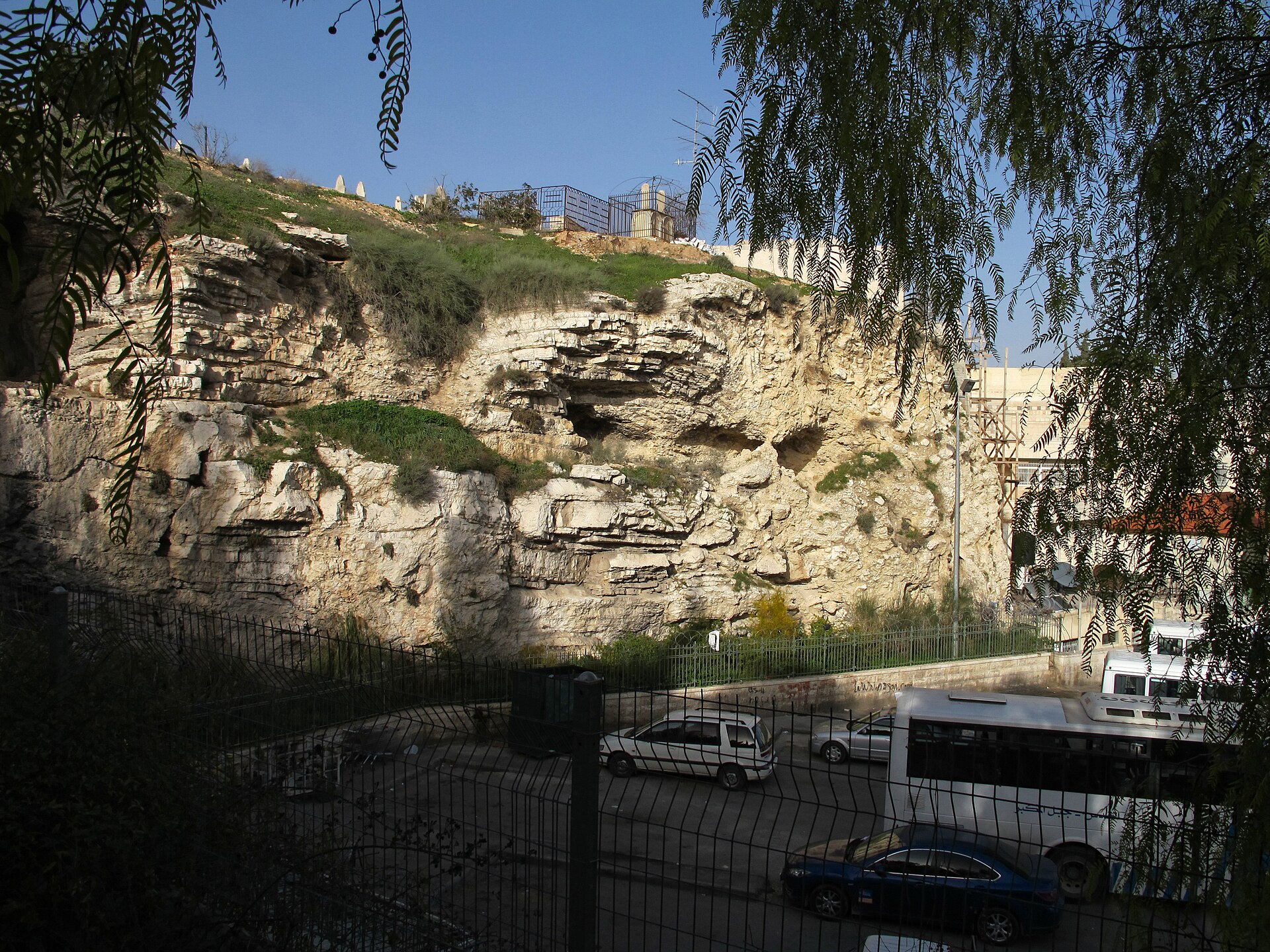 A weathered limestone cliff face with dark hollows and grass on top, rising above a busy road with parked cars and a bus, seen through the branches of a tree